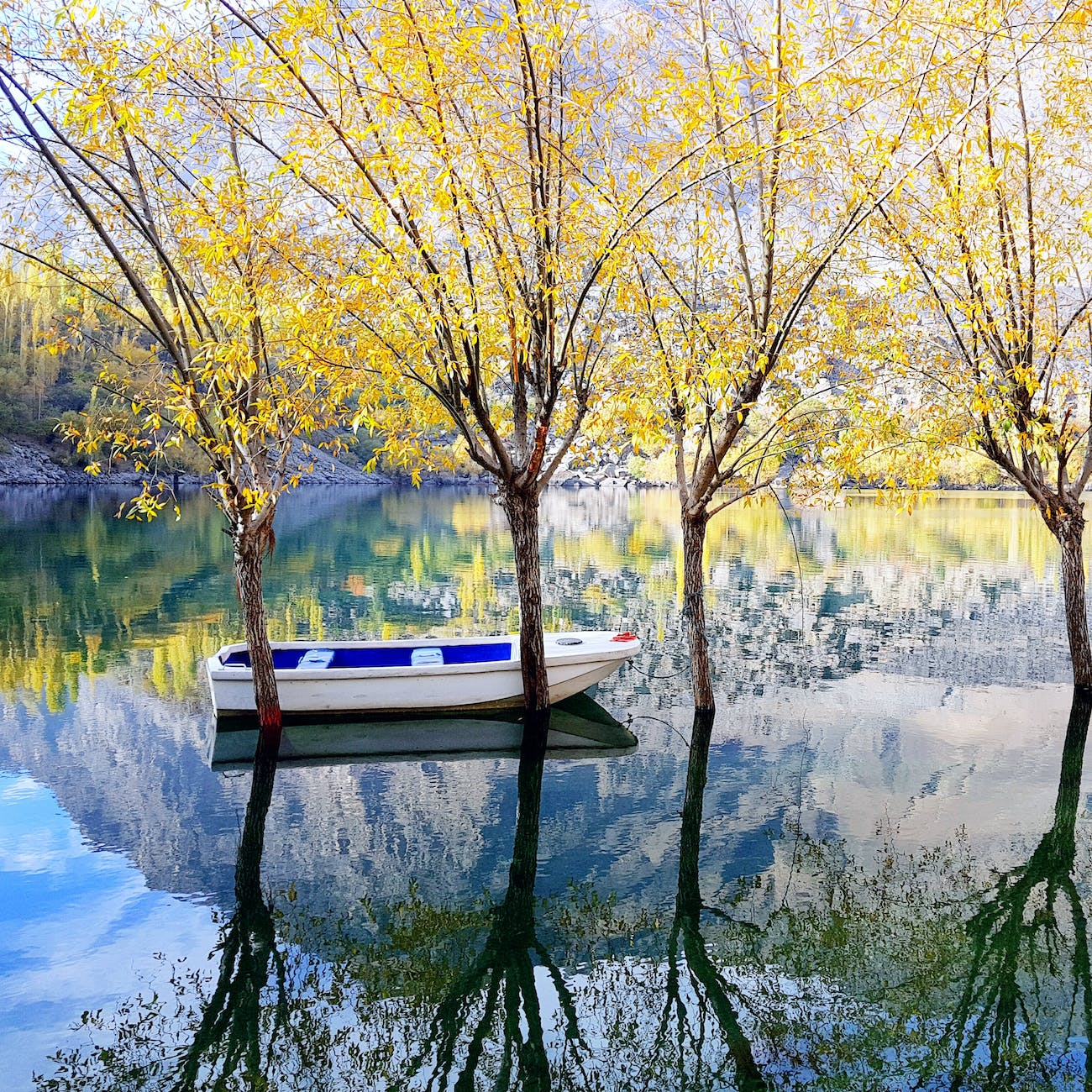 photography of white and blue wooden boat on water